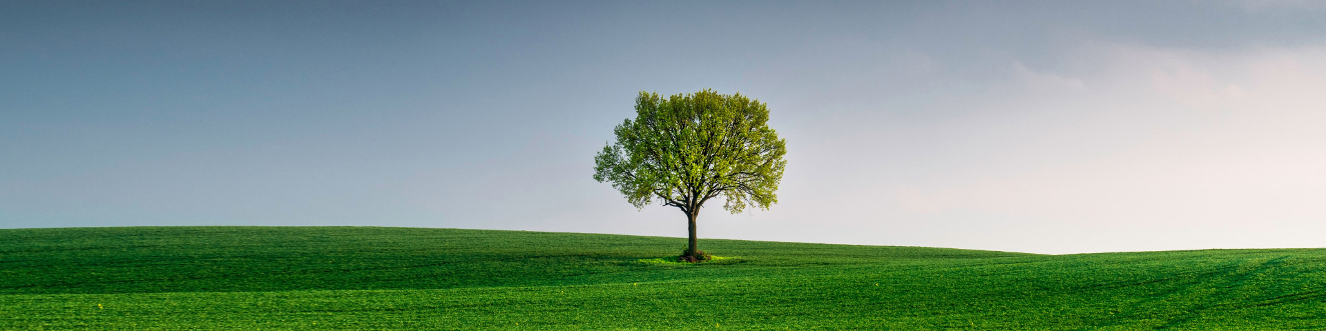 豪门国际官网-追求康健,你我一起开展