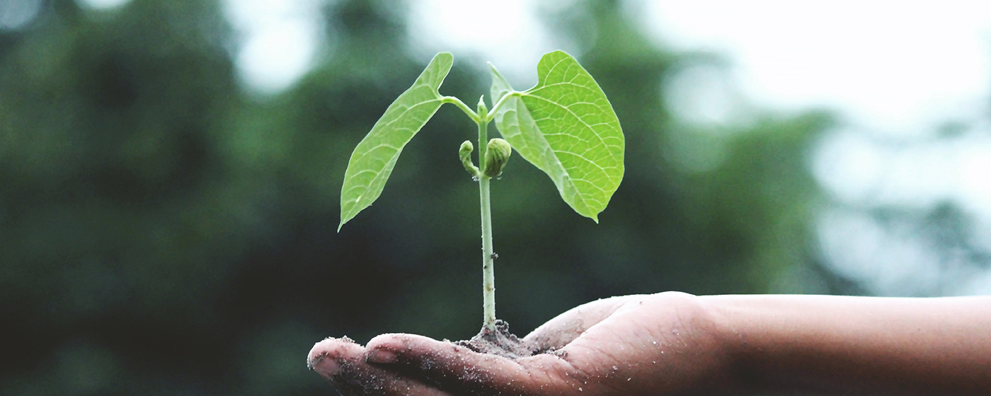 豪门国际官网-追求康健,你我一起开展